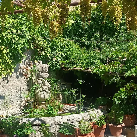 Affittacamere Palazzo Caracciolo