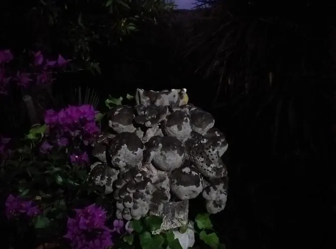 Palazzo Caracciolo 3*