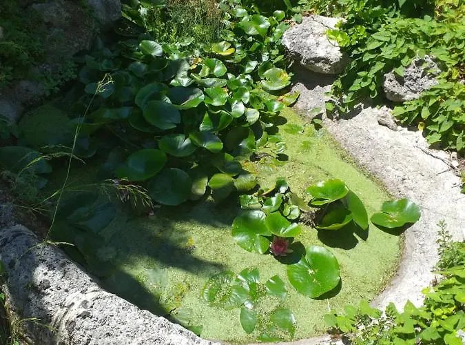 Palazzo Caracciolo 3* Gerace